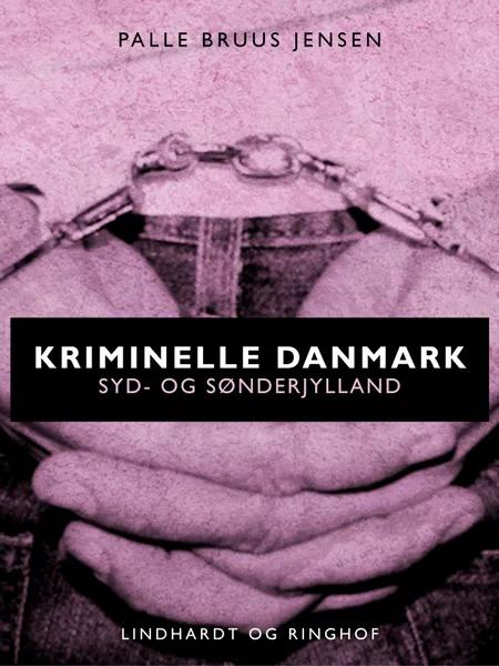Kriminelle Danmark af Palle Bruus Jensen