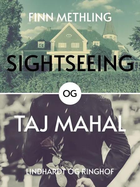 Sightseeing og Taj Majhal af Finn Methling