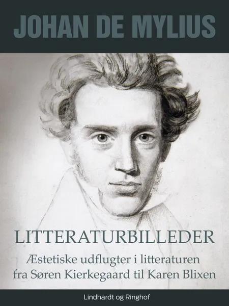Litteraturbilleder: Æstetiske udflugter i litteraturen fra Søren Kierkegaard til Karen Blixen af Johan de Mylius