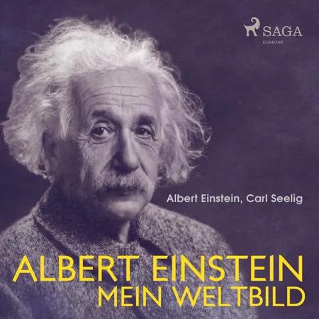 Albert Einstein - Mein Weltbild af Carl Seelig