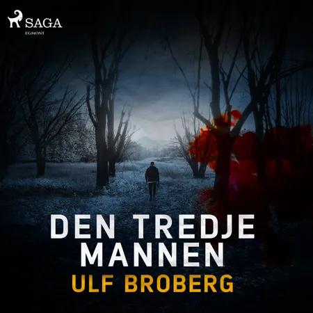 Den tredje mannen af Ulf Broberg