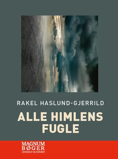 Alle himlens fugle af Iben Konradi Brodersen