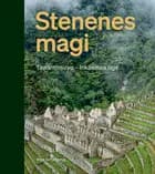 Stenenes magi