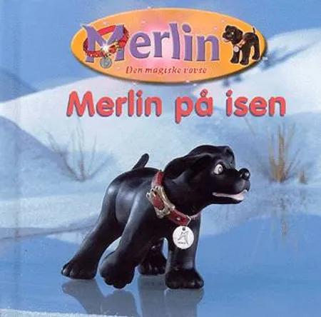 Merlin på isen af Keith Littler