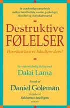 Destruktive følelser