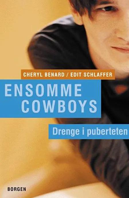Ensomme cowboys af Cheryl Benard Edit Schlaffer