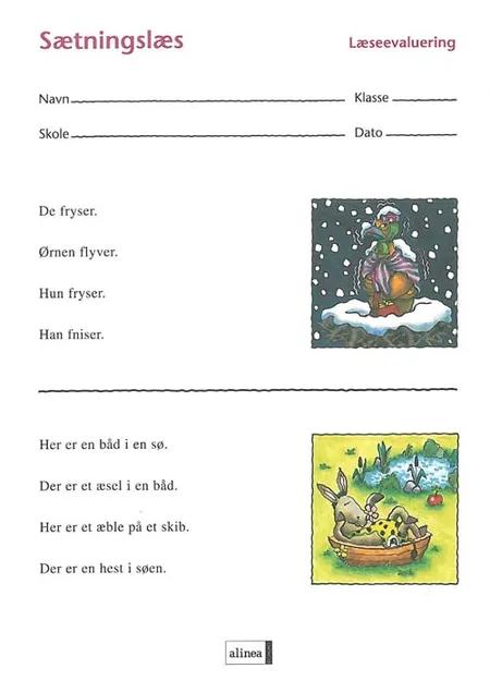 Sætningslæs - læseevaluering af Ina Borstrøm
