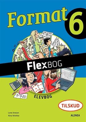 Flexbog, Format 6, Elev af Lone Anesen