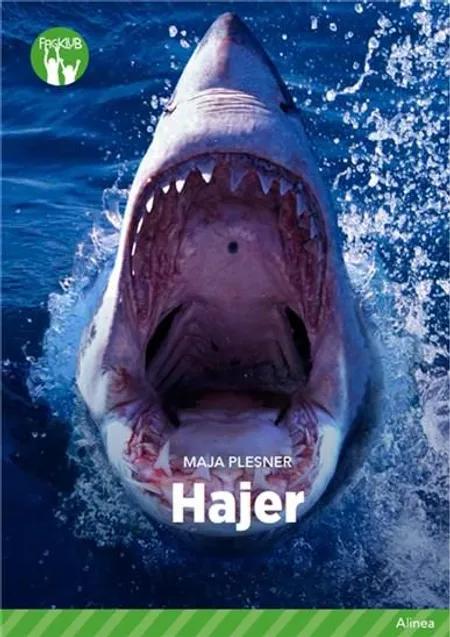 Hajer af Maja Plesner