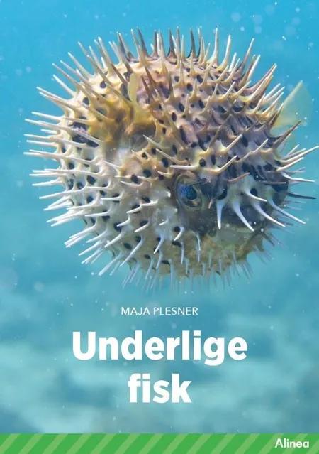 Underlige fisk, Grøn Fagklub af Maja Plesner