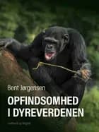 Opfindsomhed i dyreverdenen