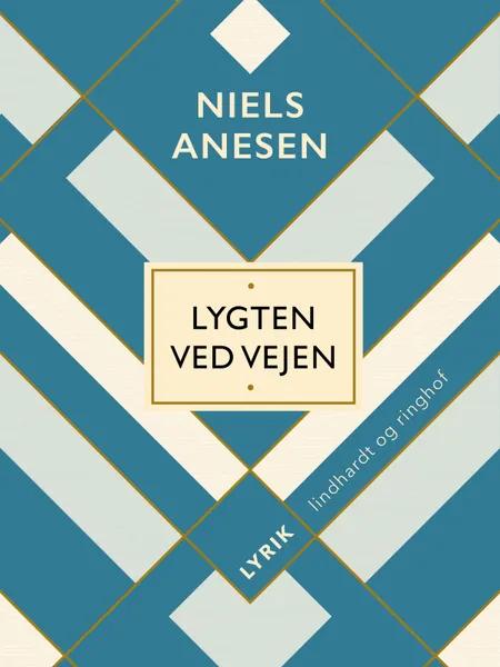 Lygten ved vejen af Niels Anesen