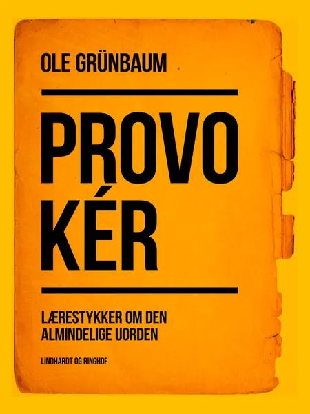 Provokér: Lærestykker om den almindelige uorden af Ole Grünbaum