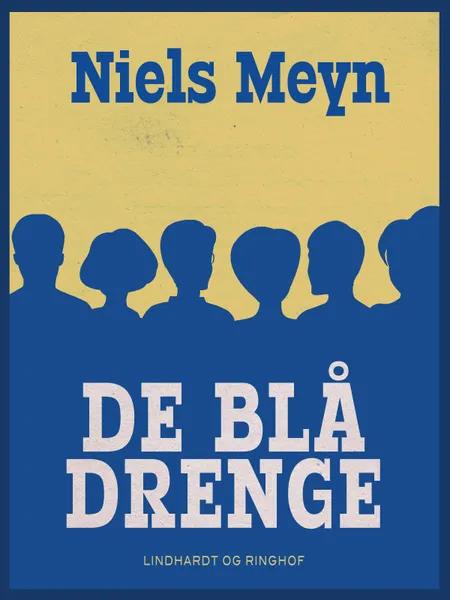 De blå drenge af Niels Meyn