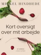 Kort oversigt over mit arbejde