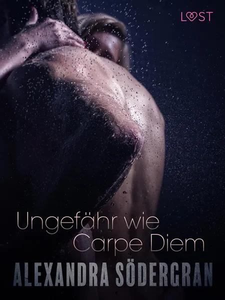Ungefähr wie Carpe Diem: Erotische Novelle af Alexandra Södergran