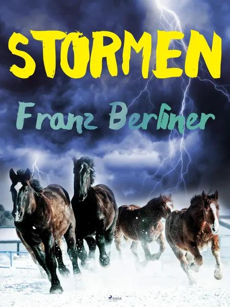 Stormen af Franz Berliner