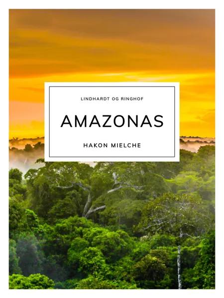 Amazonas af Hakon Mielche