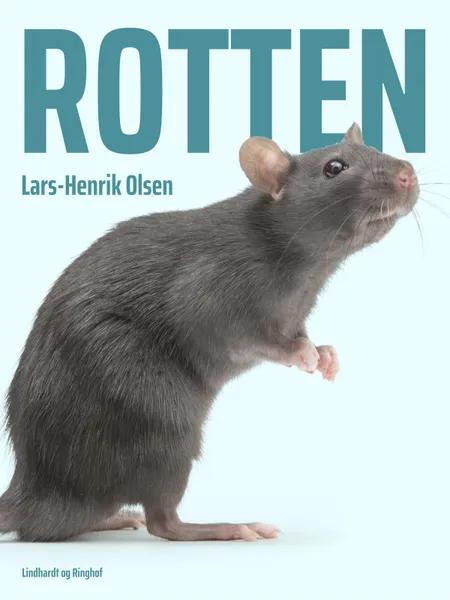 Rotten af Lars-Henrik Olsen