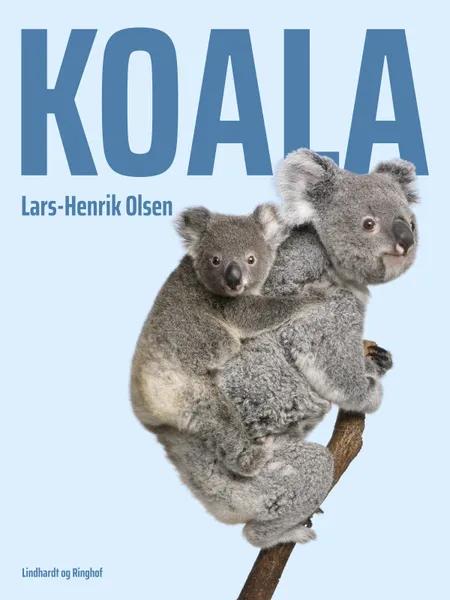 Koala af Lars-Henrik Olsen