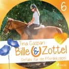 Bille und Zottel 6: Gefahr auf der Pferdekoppel
