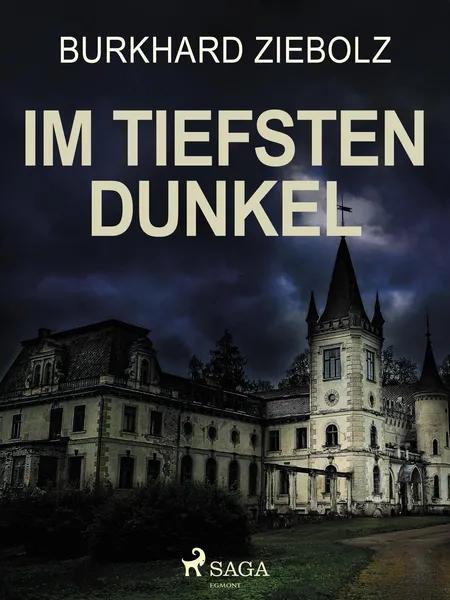 Im tiefsten Dunkel - Kriminalroman af Burkhard Ziebolz