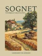 Sognet