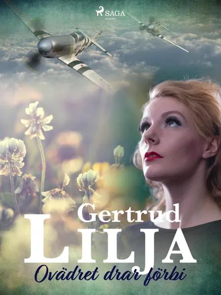 Ovädret drar förbi af Gertrud Lilja