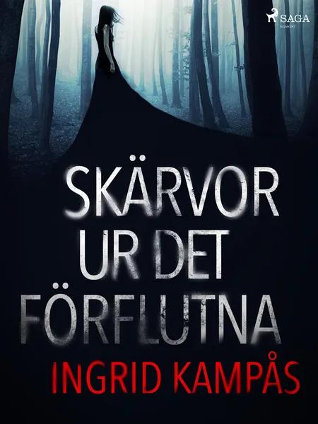 Skärvor ur det förflutna af Ingrid Kampås