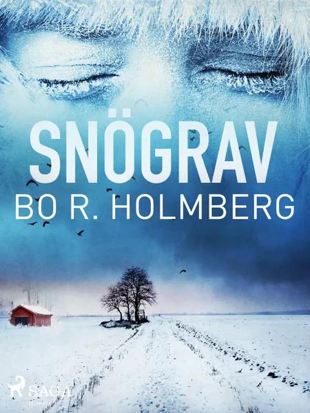 Snögrav af Bo R. Holmberg
