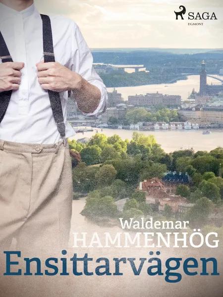 Ensittarvägen af Waldemar Hammenhög