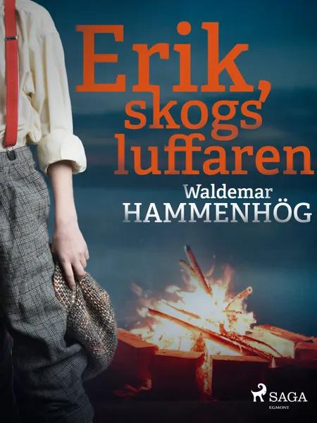 Erik, skogsluffaren af Waldemar Hammenhög
