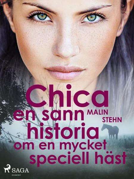 Chica : en sann historia om en mycket speciell häst af Malin Stehn