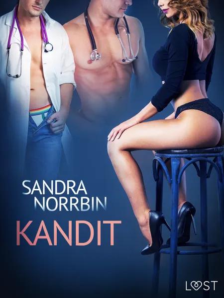 Kandit - eroottinen novelli af Sandra Norrbin
