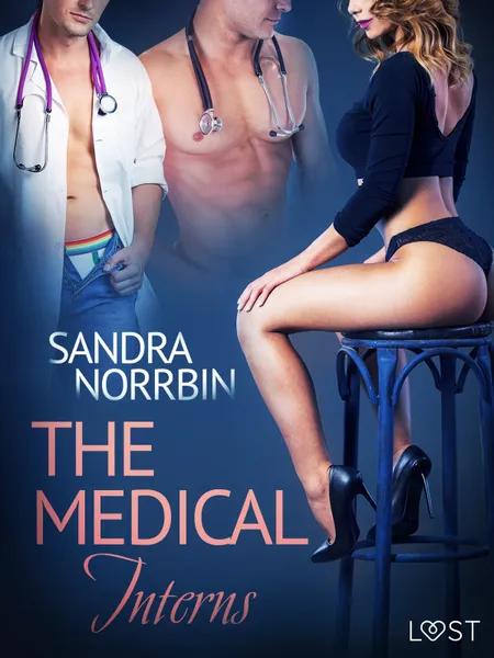 The Medical Interns - erotic short story af Sandra Norrbin
