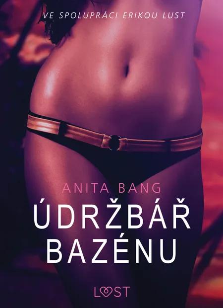 Údržbář bazénu - Sexy erotika af Anita Bang