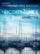 Чистильщик 6: Зачистка