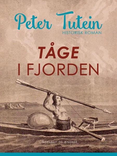 Tåge i fjorden af Peter Tutein