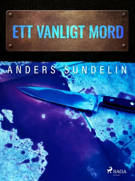 Ett vanligt mord af Anders Sundelin