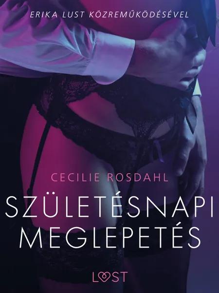 Születésnapi meglepetés - Szex és erotika af Cecilie Rosdahl