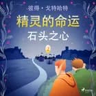 精灵的命运 二:石头之心 af Peter Gotthardt