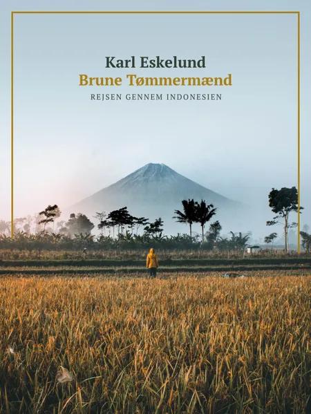 Brune Tømmermænd - rejsen gennem Indonesien af Karl Johannes Eskelund