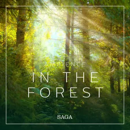 Ambience - In the Forest af Rasmus Broe