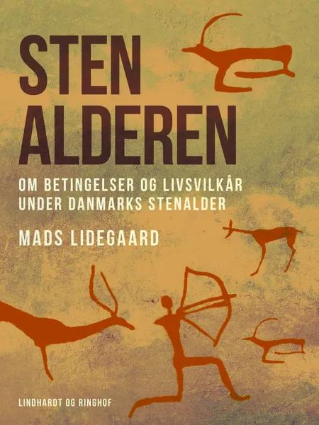 Stenalderen. Om betingelser og livsvilkår under Danmarks stenalder af Mads Lidegaard