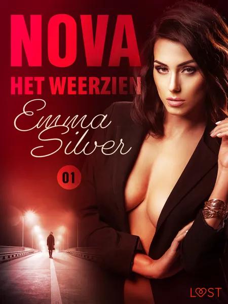 Nova 1: Het weerzien - erotisch verhaal af Emma Silver