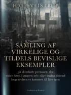 Samling af virkelige og tildels bevislige eksempler på skindøde personer, der enten først i graven selv eller endnu førend