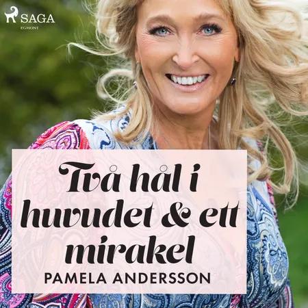 Två hål i huvudet och ett mirakel af Pamela Andersson