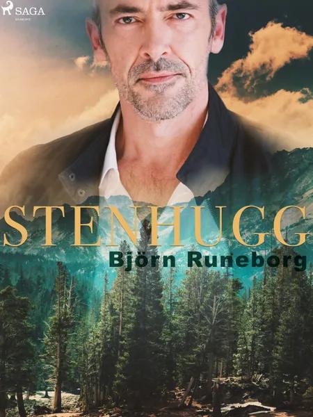 Stenhugg af Björn Runeborg