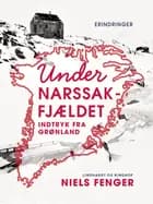 Under Narssak-fjældet. Indtryk fra Grønland