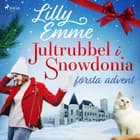 Jultrubbel i Snowdonia: första advent af Lilly Emme